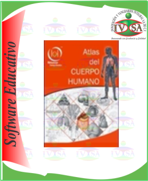 Cuerpo-Humano.png