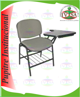 PUIN-02.png