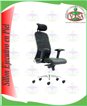 SIEJ-10.png