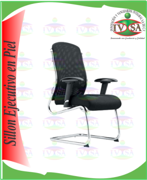 SIEJ-11.png